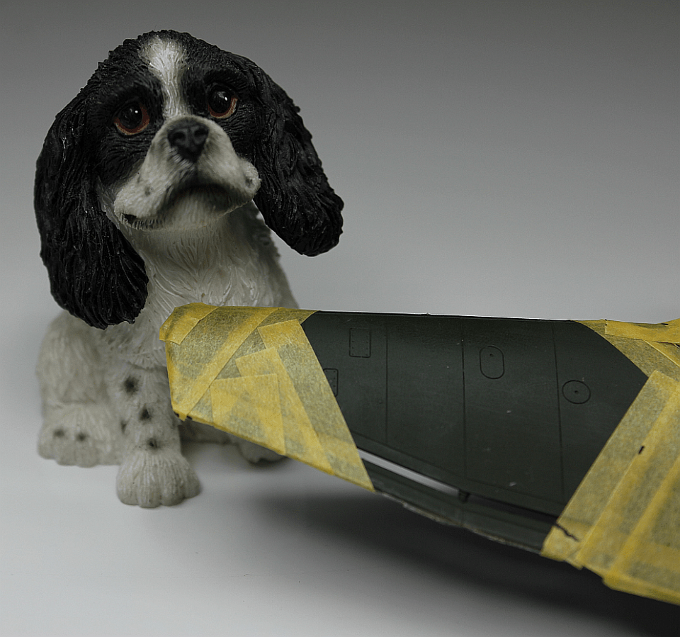 Stuka and his friend, the dog